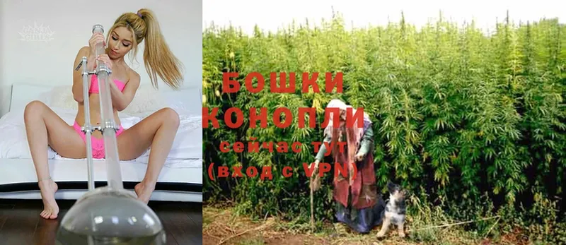 Бошки Шишки OG Kush  ОМГ ОМГ рабочий сайт  Чебоксары 